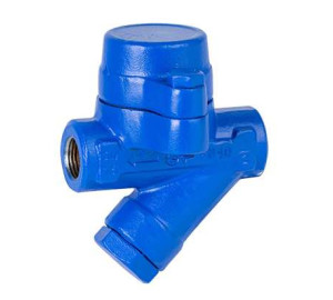 PURGADOR TERMOSTATICO CON FILTRO